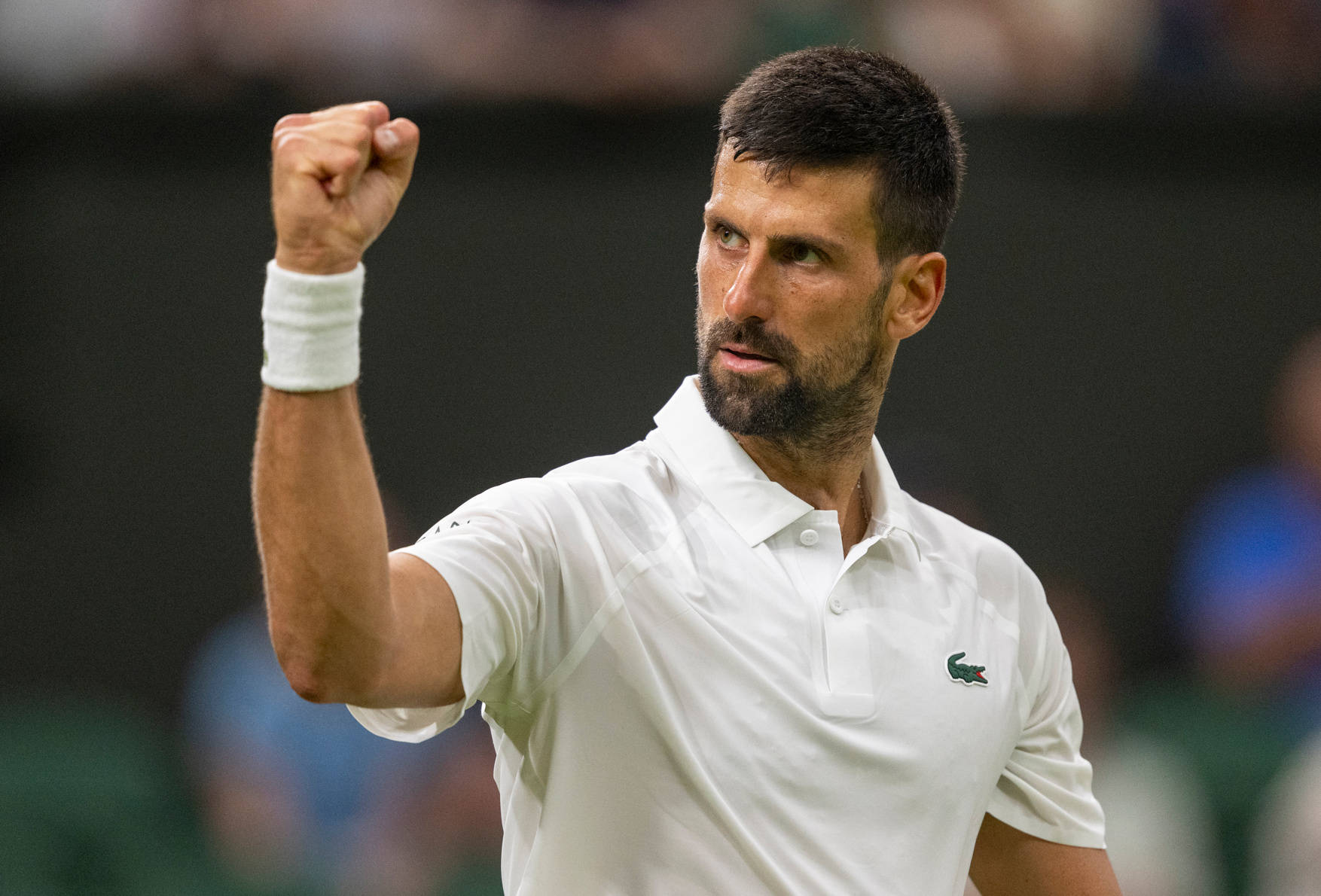 爱游戏在线-澳网翻盘温网，德约科维奇带队取胜