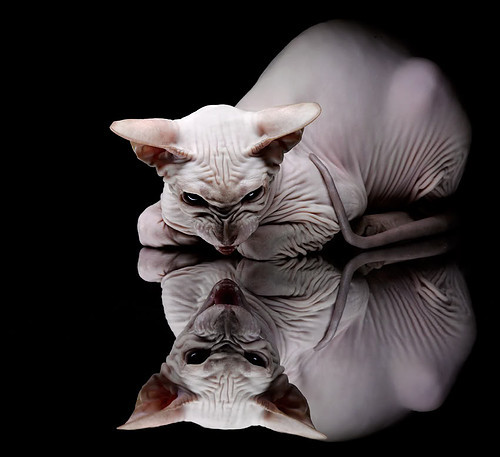 爆冷之夜，泰国队横扫印尼队，戴资颖关键制胜书写绝境救赎