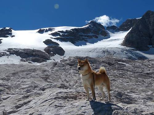 丹麦童话对战印度铁骑，石宇奇那一剑，为何斩断的不仅是胜负？
