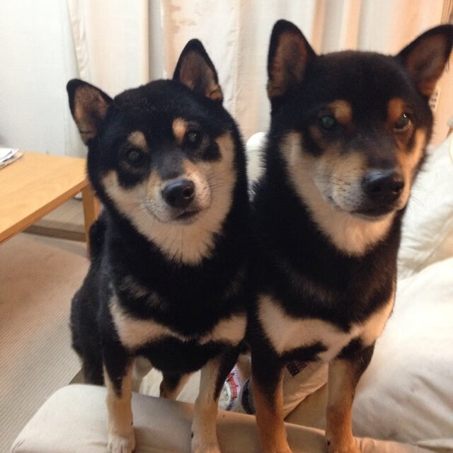 当拉什福德风暴席卷北欧，个人英雄主义与团队碾压的哲学对话