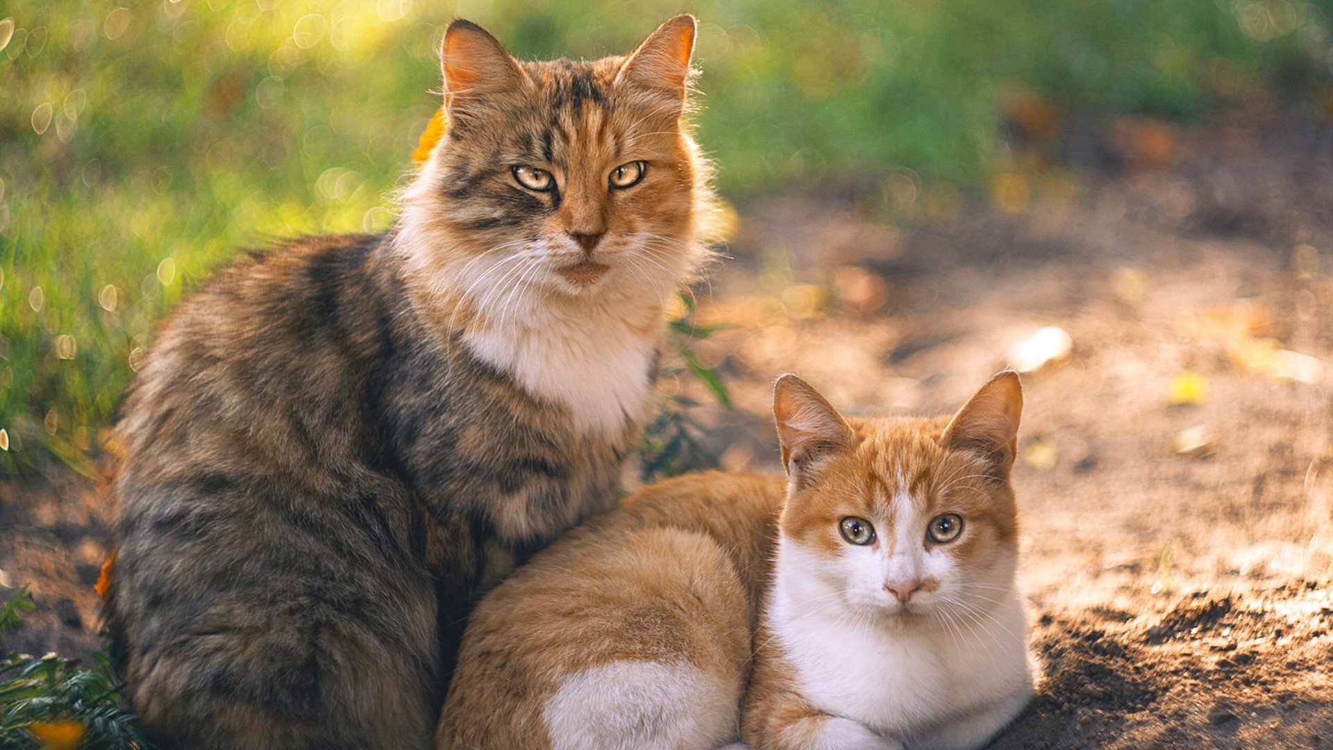 末节死神！德罗赞关键七连斩熄灭雄鹿，冷血本色定乾坤