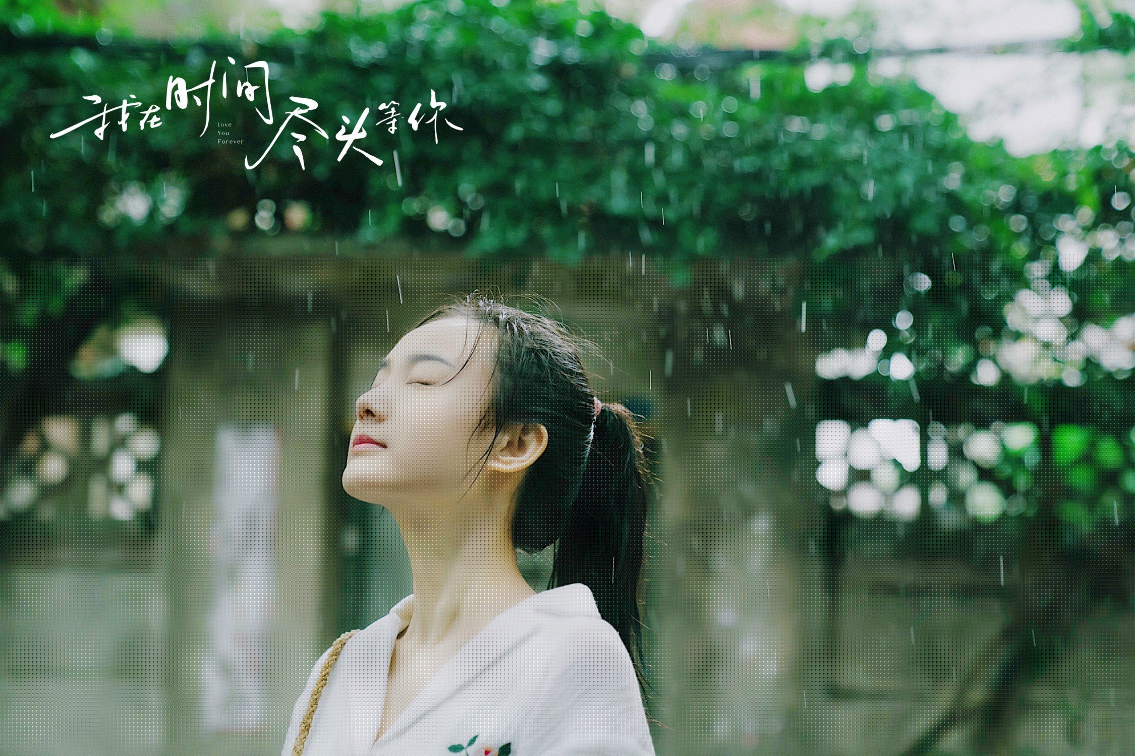 布鲁诺闪耀全场,凌空斩定乾坤!多特蒙德展现王者风范完胜紫百合