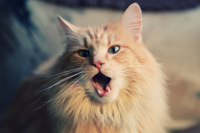 北欧寒流逆转诺坎普,无名小卒帕尔默的封神之战