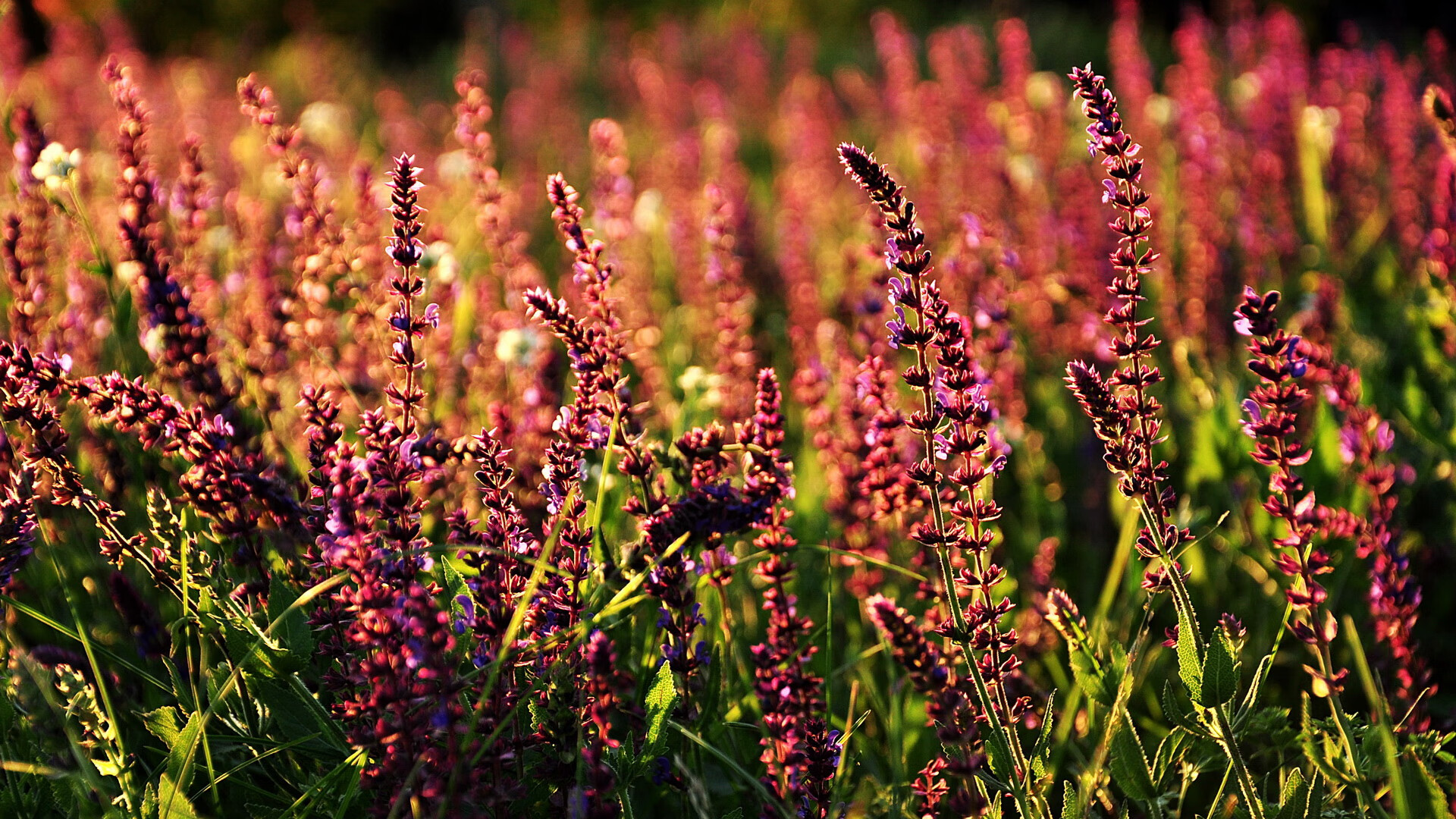 爱游戏在线-终场哨响，人们才意识到，京多安，是这支比利时精密钟表里唯一的那根琴弦