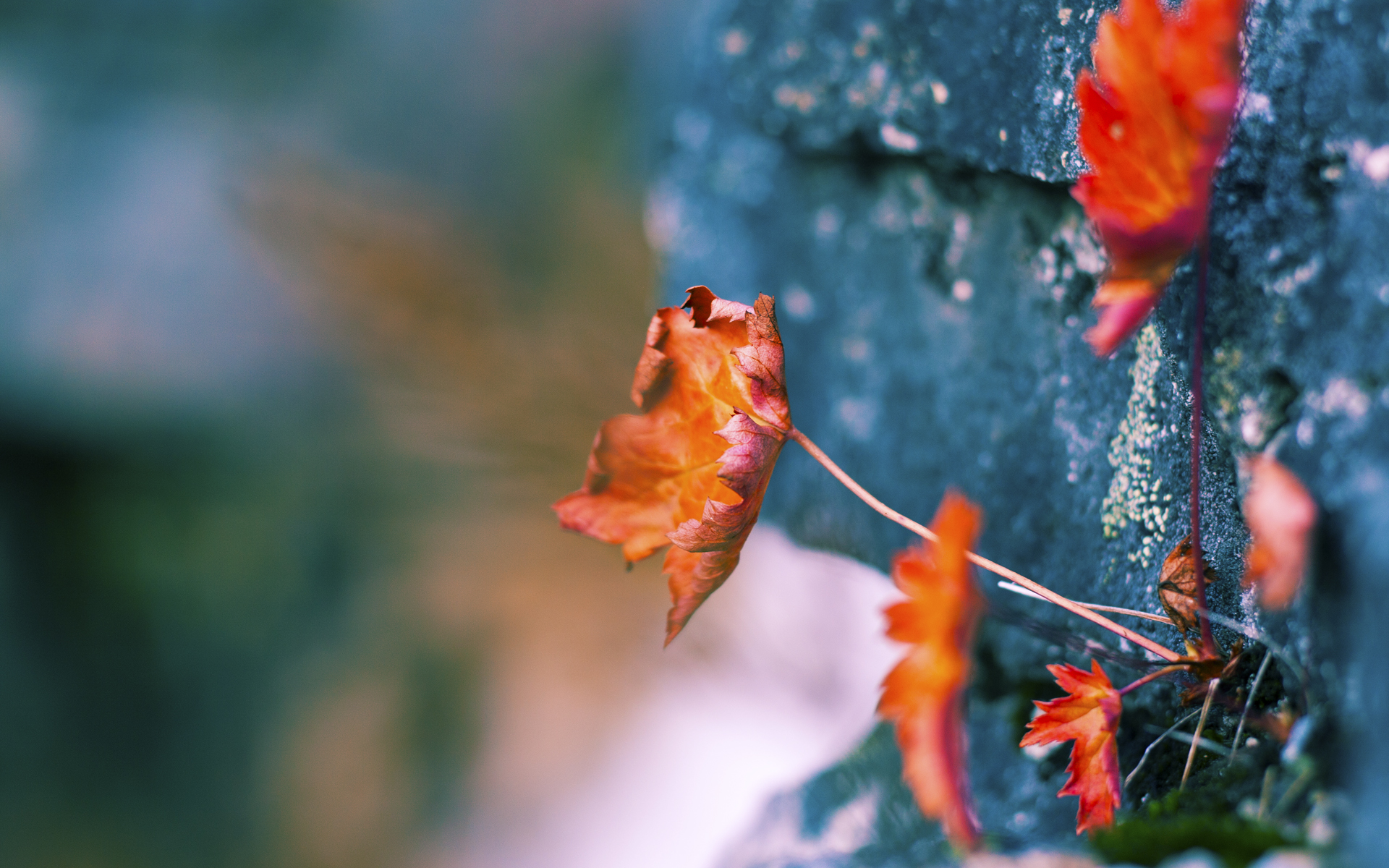 爱游戏-当NBA遭遇波兰，篮球世界中的意外终结与唯一性启示