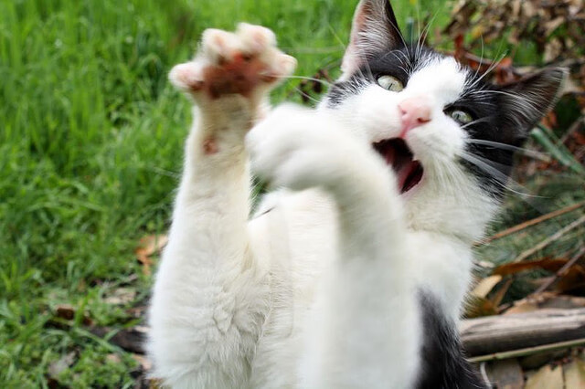 爱游戏在线-精密仪器与孤胆英雄，当勇士的防守铁幕，遇上杜兰特的不合理艺术