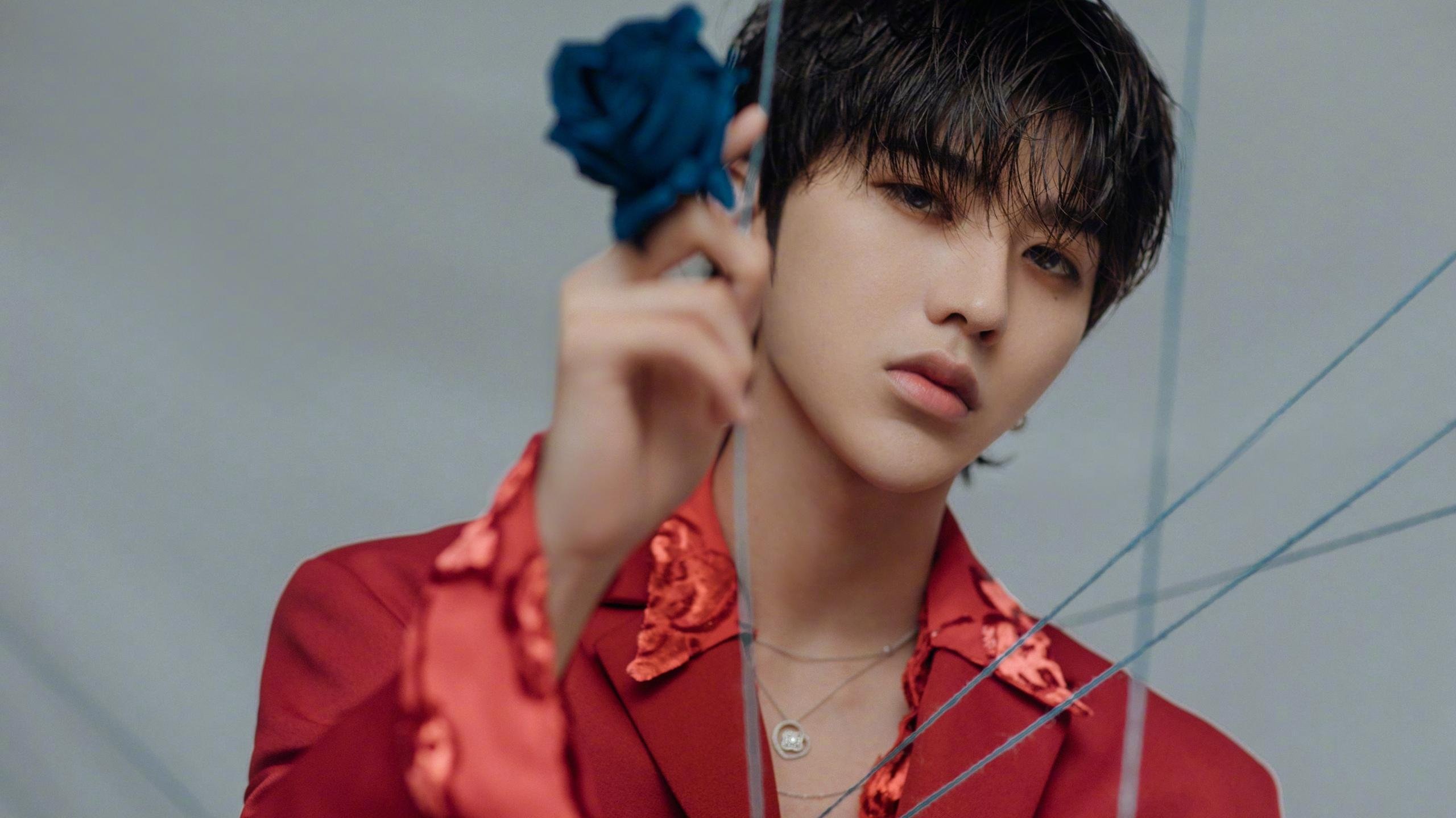 冻结传奇，当欧文的指尖冰封华南虎的烈焰