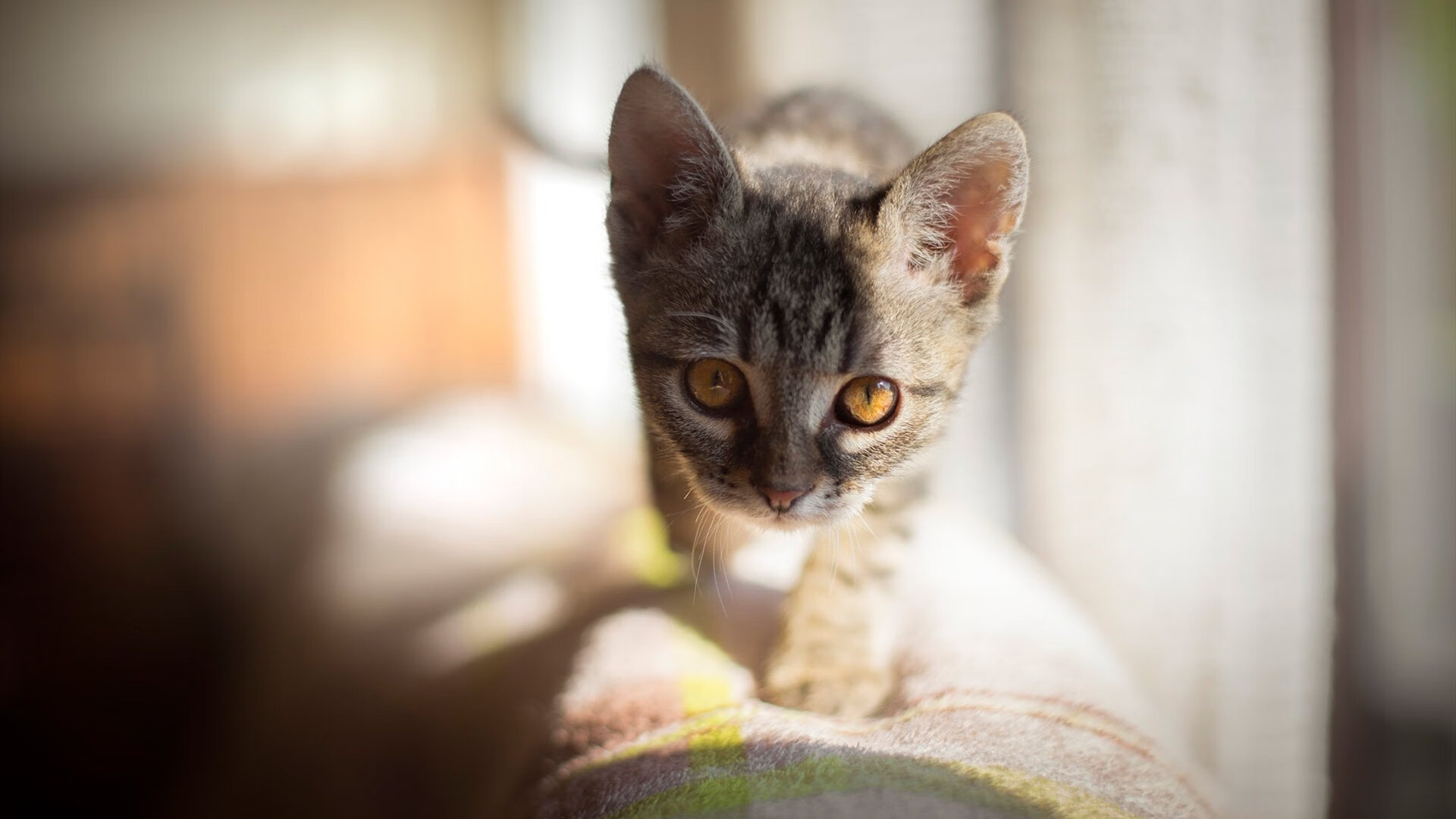 跨越太平洋的逆袭，快船鏖战双加时逆转浙江，改写篮球史的神奇之夜