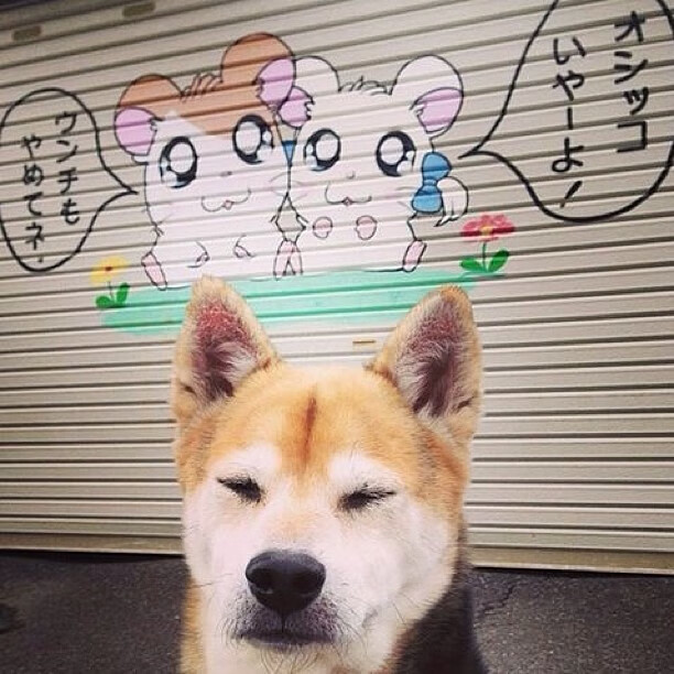 佛罗伦萨文艺复兴式逆转，迪亚斯的压制级独舞撕裂澳大利亚防线