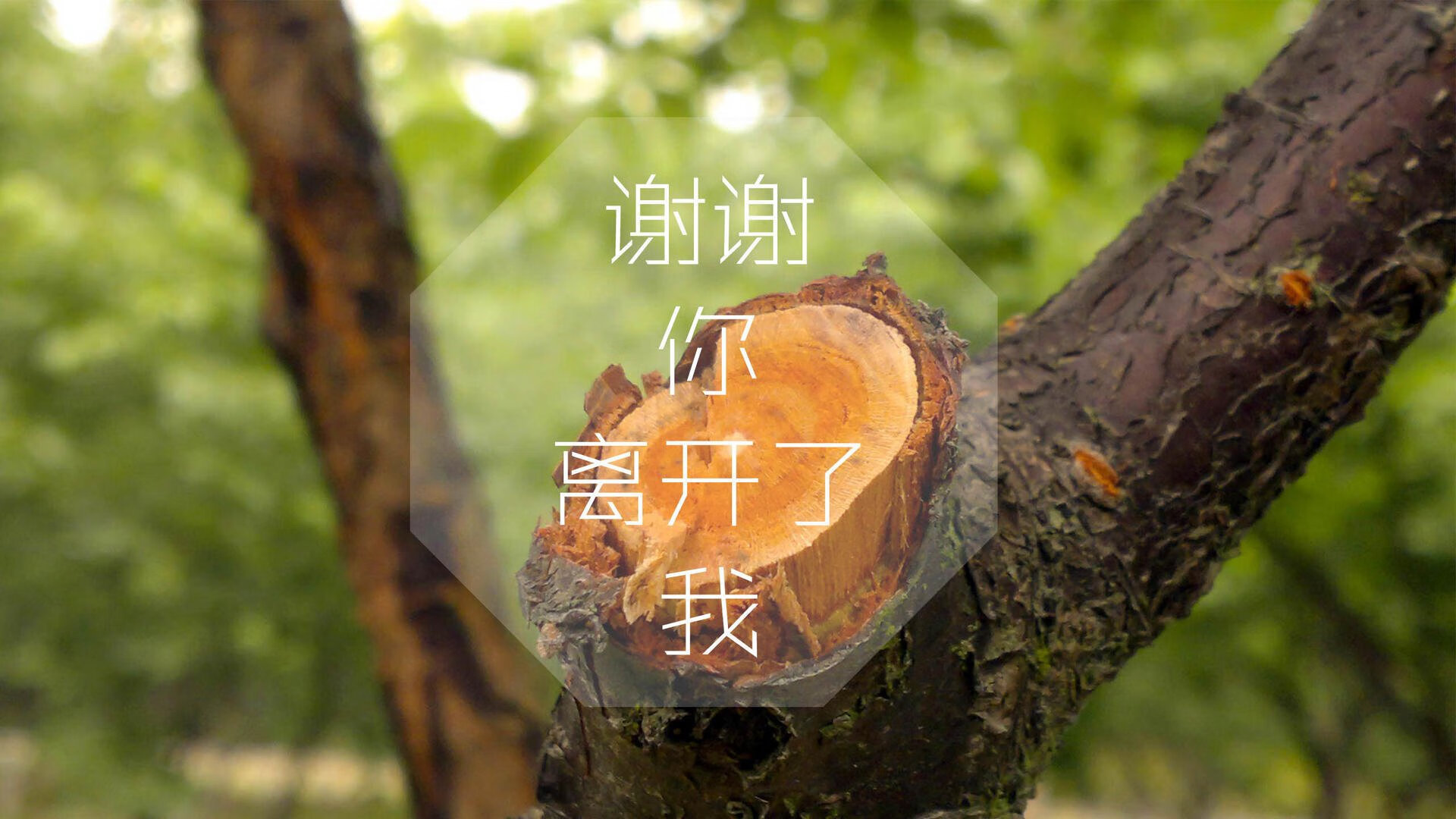 爱游戏下载-唯一性的对决，当格列兹曼点亮H组，美斯之战注定不凡